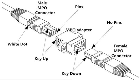 Singlemode καλώδιο MPO 48 ενιαίος άλτης 32 κορμών ινών MTP τρόπου πυρήνων OS2 σκοινί μπαλωμάτων μέτρων MPO